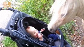 老驥伏櫪,志在千里 老人 語 馬