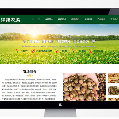 石家莊企業數字化轉型 網站建設、優化與網絡推廣一站式指南